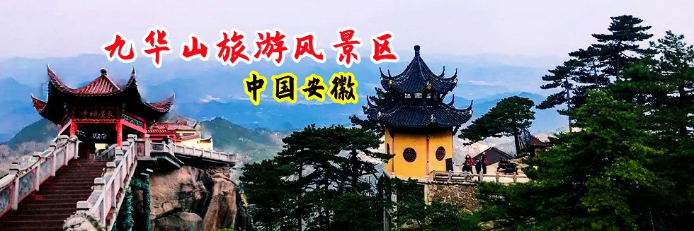 妹子裸身网站视频在线观看网址